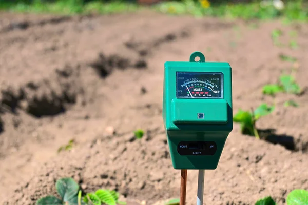 Agricultural meter to measure the soil pH, light and moisture level of the soil in a field with fresh green spring seedlings during crop cultivation