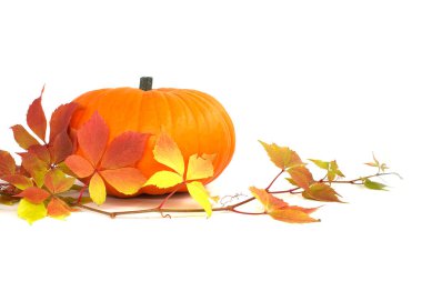 Orange pumpkin with seasonal leaves isolated on white. Thanksgiving, Halloween autumnal or fall still life