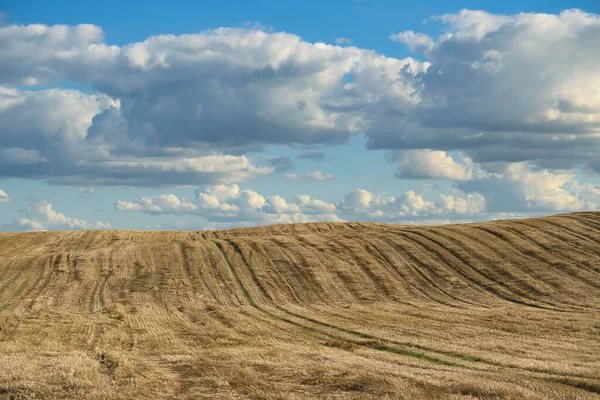 Harvested Field Wheat Scenic Agricultural Landscape Rolling Hills Blue Sky —  Fotos de Stock