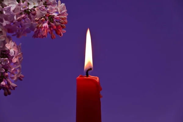 Detailní Záběr Hořící Červené Svíčky Větvičky Kvetoucího Šeříku Fialovém Pozadí — Stock fotografie