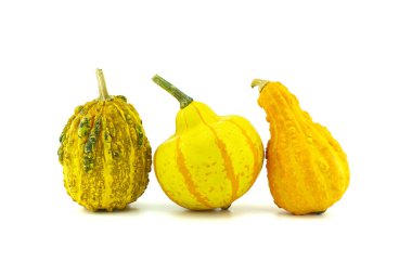 Beyaz arkaplanda izole edilmiş renkli balkabakları ve kabakları