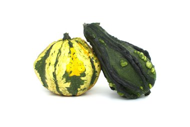 Dekoratif yeşil siğil kabakları beyaz arkaplanda izole edildi