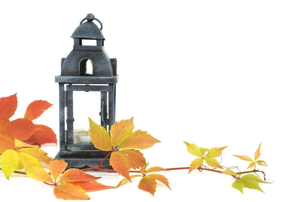 Seasonal Leaves Lantern White Background Thanksgiving Halloween Autumnal Fall Still — Photo