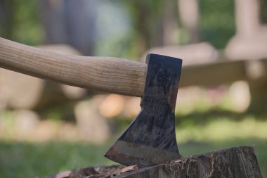 Helikopter ya da balta dikey bir şekilde bir ağacın gövdesine saplanmış bir bahçede ya da bir ormanlık alanda kavramsal bir yaşam tarzında ya da kamp yaparken.