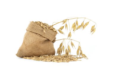 Oat grains with hulls or husks in burlap bag isolated on a white background. Agriculture, diet and nutrition. Common oat or Avena sativa