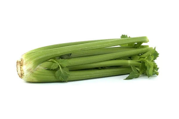 Fresh Celery Stalks Leaves Isolated White Background — Stock Photo, Image