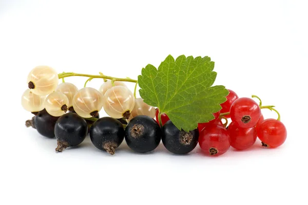 Fresh Ripe Blackcurrant Redcurrant White Currant Berries Leaf Isolated White — Zdjęcie stockowe
