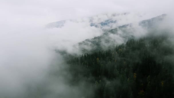 Flygskott efter regnigt väder i bergen. Misty Fog blåser över tallskogen. Flygbilder av granskogsträd på bergskullarna på Misty Day. Morgondimma i vackra höstskogen. — Stockvideo