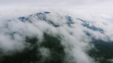 Hava Aracı Görüntüsü: Yağmurdan Sonra Dağlar Orman Buharı.