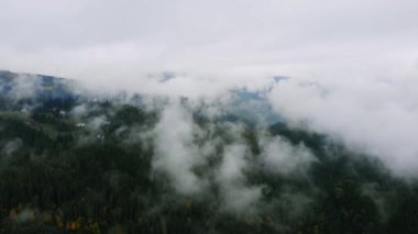 Hava Aracı Görüntüsü: Yağmurdan Sonra Dağlar Orman Buharı.