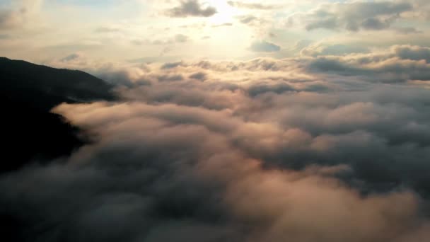 Luftbild: Erstaunlich dichter Morgennebel bedeckt Berge, Gewürze und Fichtenwälder. — Stockvideo