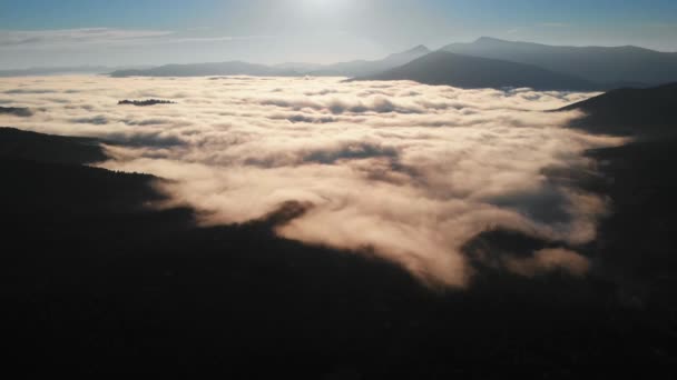 Vista aérea: Amazing Thick Morning Fog Covering Mountains Spice and Spruce Forest. — Vídeo de Stock