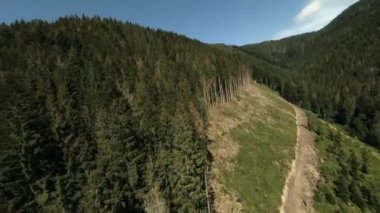 FPV İHA Kuş Gözü Görünümü: Dağlık Ormandaki Uçan Orman Tahrip Yeri.