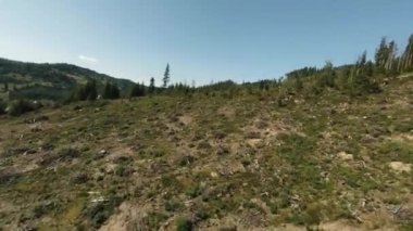 FPV insansız hava aracı atışı: Ormandan Ormansızlaşmanın ardından Yıkılmış Bölgeye Uçmak.