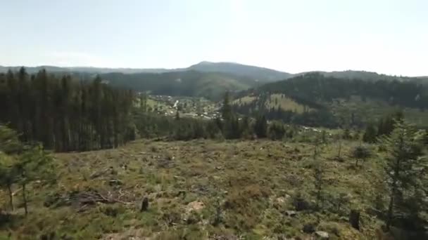 FPV Drone Aerial Shot: vířící létání nad stromy pařezy v odvětrané oblasti. — Stock video