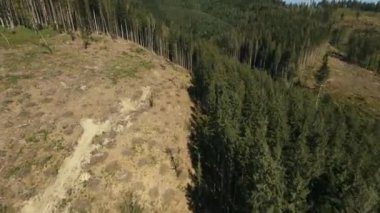 FPV İHA Kuş Gözü Görünümü: Dağlık Ormandaki Uçan Orman Tahrip Yeri.