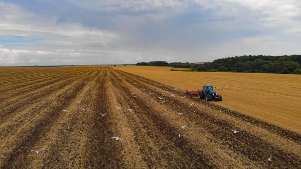 여름해 밭에서 수확을 트랙터 있습니다 무인기 — 스톡 사진