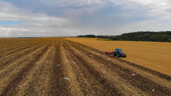 Ernte Sommer Bei Sonnenuntergang Von Den Feldern Ein Einziger Traktor — Stockfoto