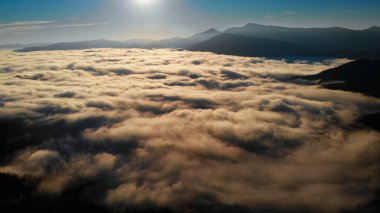 Hava manzarası: İnanılmaz Kalın Sabah Sisi Dağları Baharat ve Spruce Ormanı. Gündoğumu Sonbahar Zamanı.