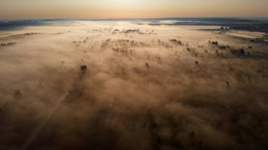 Güneşin doğuşunu ağaçlarla kaplayan destansı sis manzarası. Sonbahar güneşli, soğuk bir sabah. 4K