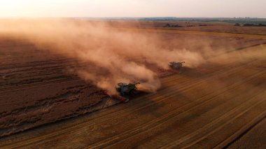 Havadan çekim: yaz günbatımında hasat birleşimi. Tarlada toz bulutları.