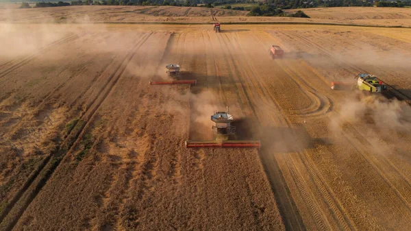 Luftaufnahme Vor Mähdreschern Bei Der Weizenernte — Stockfoto