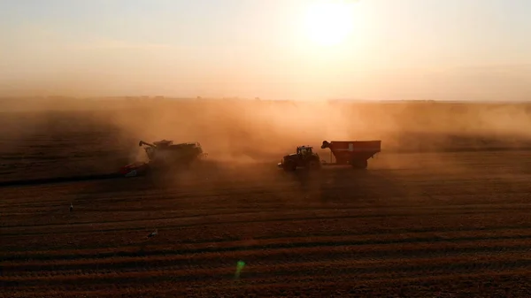Aerial Shot Combines Harvesting Summer Sunset Clouds Dust Field — Stock Photo, Image
