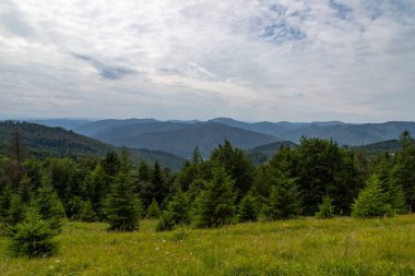 Dağlarda ve Yeşil Baharatlarda İnanılmaz Bulutlu Manzara.