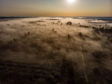 Ağaçlı Çayırda Sabah Sisinin Hava Görüntüsü.
