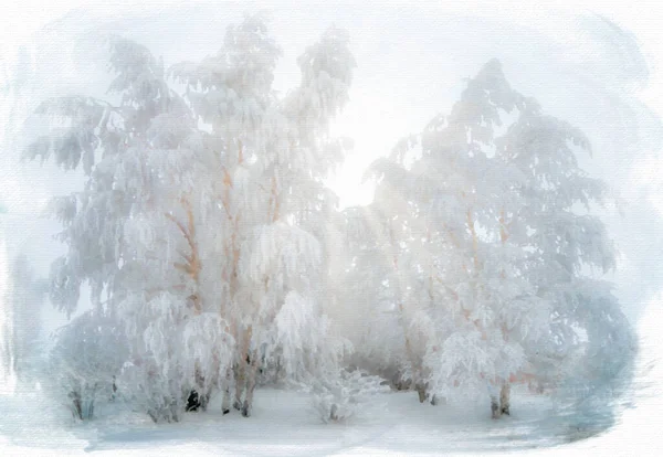 Winter landscape, the sun\'s rays break through the snow-covered branches of birch trees after a heavy snowfall