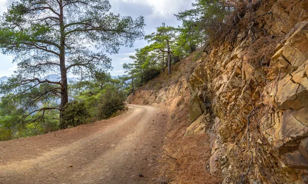 Serpentine Grusväg Som Leder Genom Den Skogsbevuxna Troodos Bergskedja Cypern — Stockfoto