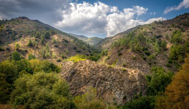 Kıbrıs adasının Troodos sıradağları çam ormanlarıyla kaplı.