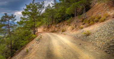 Kıbrıs adasının ormanlık Troodos Dağları 'ndan geçen Serpentine toprak yolu