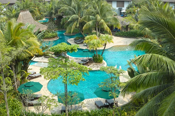 Garden with swimming pool Stock Photo