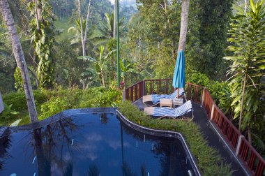 orman içinde Yüzme Havuzu