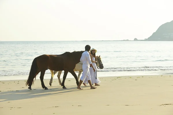 Para koni spacer na plaży — Zdjęcie stockowe
