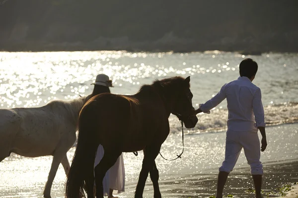 Un couple amoureux marchant sur la plage au coucher du soleil — Photo