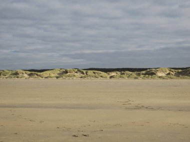 IJmuiden sahilinde kumlarla kaplı sıra kumullar.