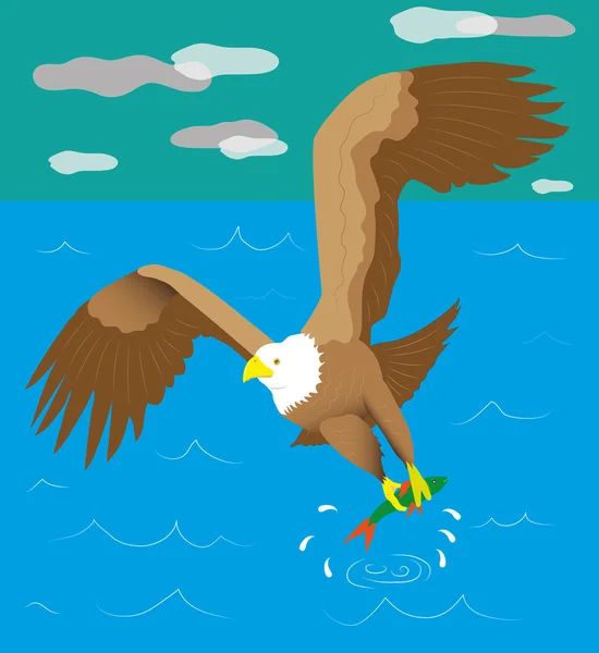 Pescador de águila — Vector de stock