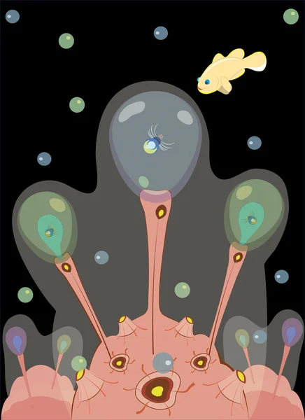 Diepzee fantastische spinnen — Stockvector