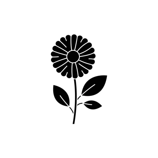Значок Ромашкового Цвета Эфирные Масла Пиктограмма Веб Страницы Мобильного Приложения — стоковый вектор