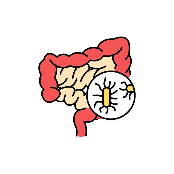 Icono de línea de color de bacterias intestinales. Enfermedades humanas. — Vector de stock