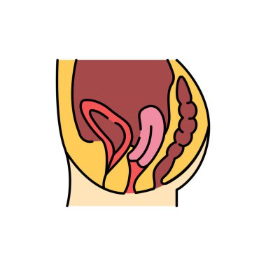 Organ sarkması renk çizgisi simgesi. İnsan hastalıkları. Web sayfası, mobil uygulama, tanıtım için resim grafiği.