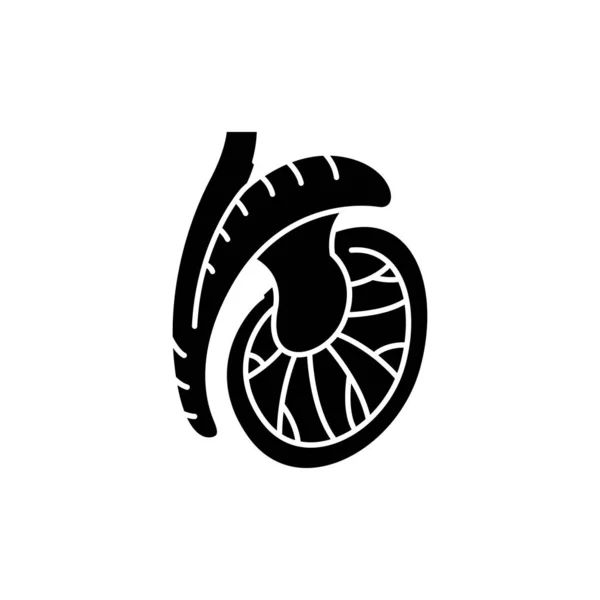 Testicle olor line icon. Male reproductive gland. Pictogram for web page, mobile app, promo. — Vettoriale Stock