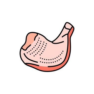 Tavuk çeyrek renk çizgisi simgesi. Et doğrama. Web sayfası, mobil uygulama, tanıtım için resim grafiği.