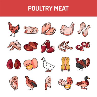 Kümes hayvanlarının et rengi simgeleri ayarlandı. Web sayfası için resim grafikleri