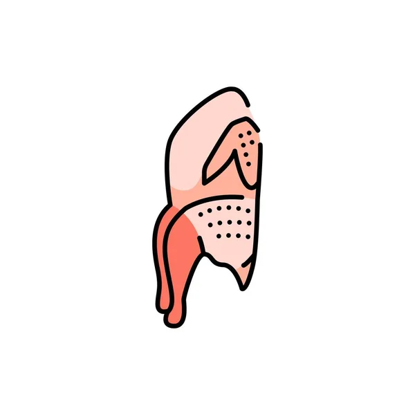 Ícone de linha de cor de carcaça de codorna. Carne de corte. —  Vetores de Stock