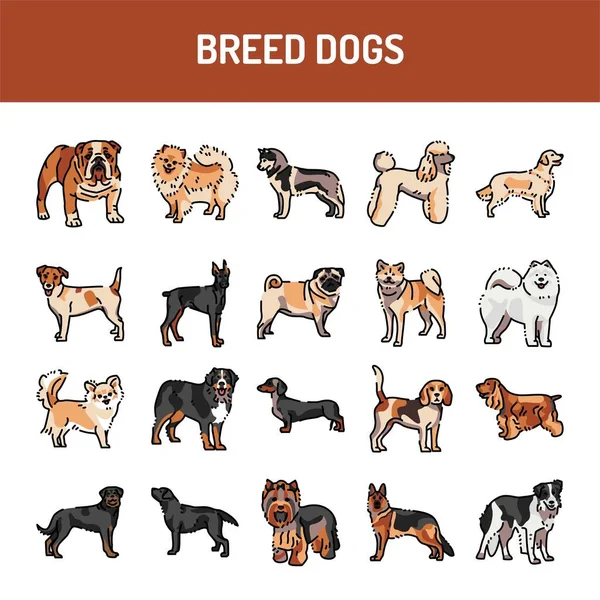 Set Iconos Línea Para Perros Raza Elemento Vectorial Aislado — Archivo Imágenes Vectoriales