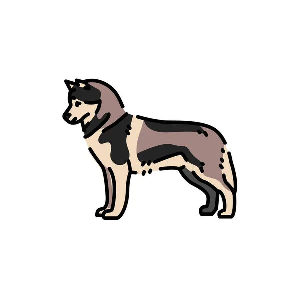 Icono Línea Color Husky Siberiano Raza Perro — Vector de stock