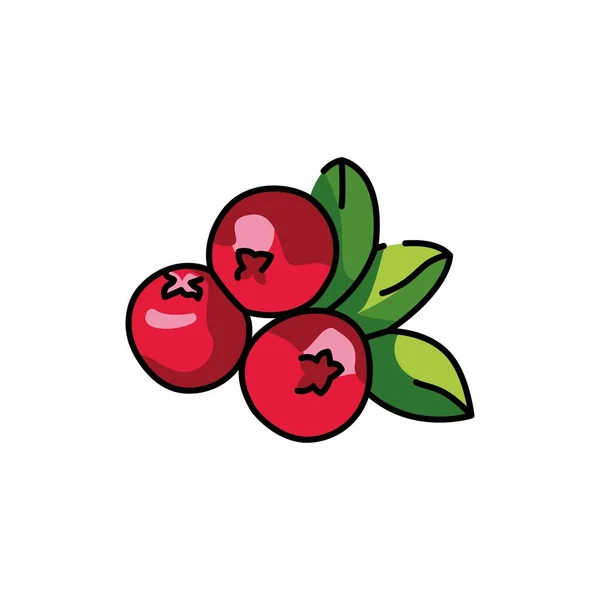 Cowberry Növény Színes Vonal Ikon Piktogram Honlapra Mobil Alkalmazás Promo — Stock Vector